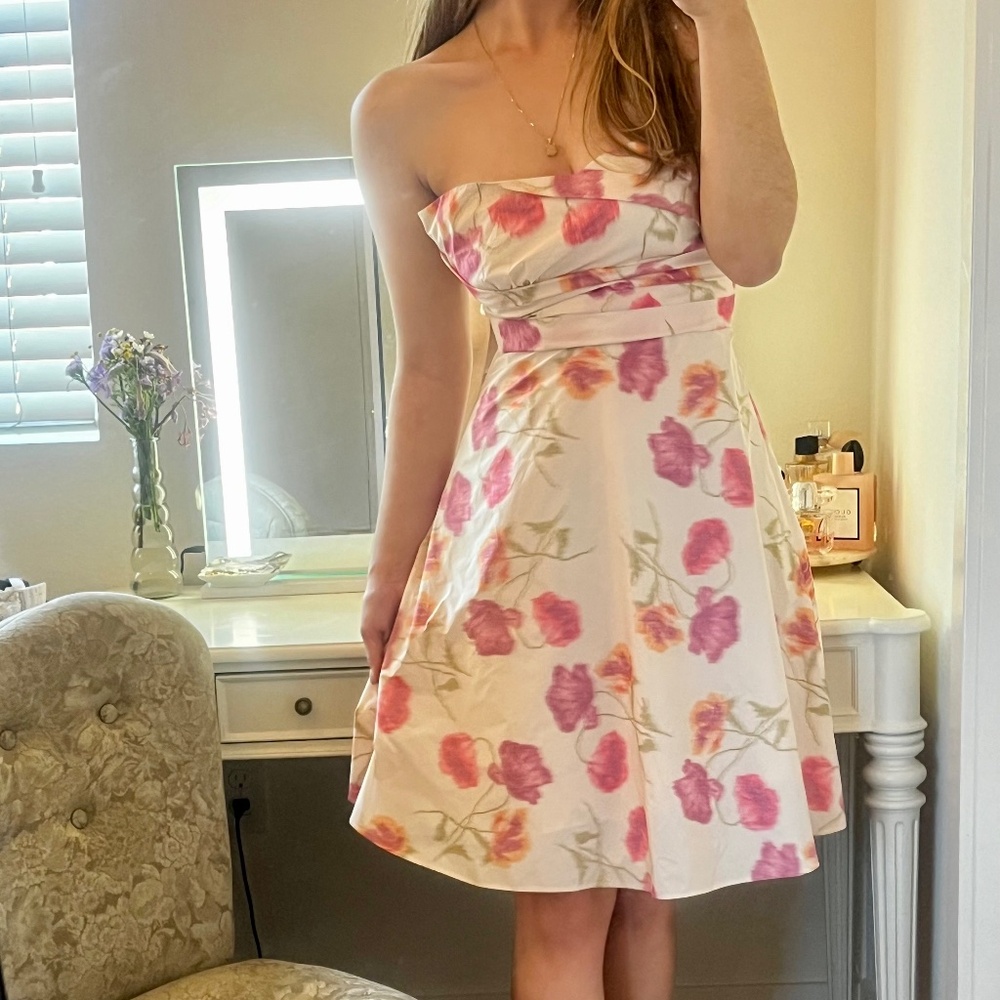 Banana Republic Beautiful Dress Size 2 (Fits 4-6)